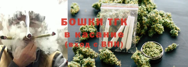 сатива Михайловск