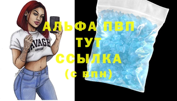сатива Михайловск